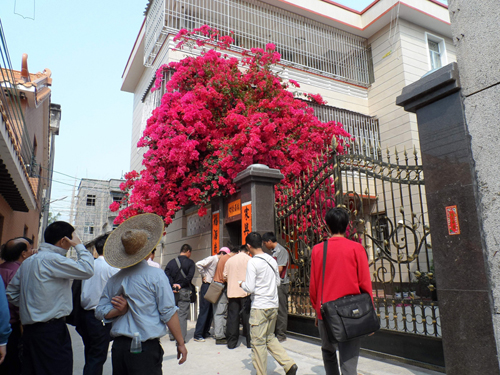 杜鹃花.jpg